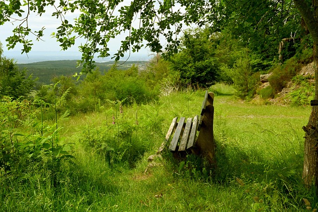 终结14连败！奇才官方：为回馈球迷，可领2.5美元巨无霸汉堡