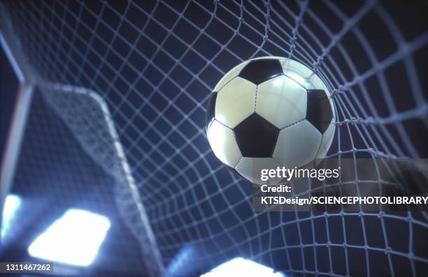 直击2025武汉马运会现场：马术青训人群数量倍增，有参赛者13岁已学习马术6年